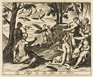 Muses and Magpies Muses and Magpies