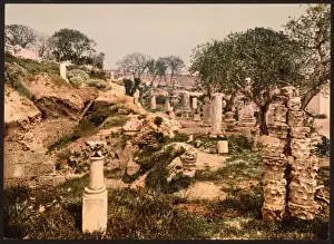 Museum garden, II, Carthage, Tunisia