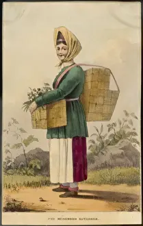 Mushroom Gatherer