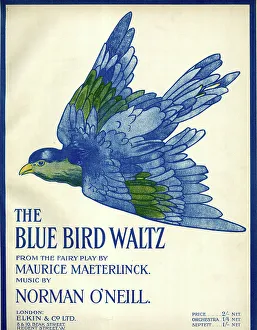 Waltz Prints: Music cover, The Blue Bird Waltz