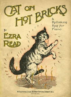 Images Dated 29th December 2015: Music Cover, Cat on Hot Bricks
