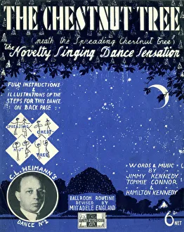 Connor Prints: Music cover, The Chestnut Tree