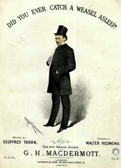Catch Prints: Music cover, Did You Ever Catch A Weasel Asleep?