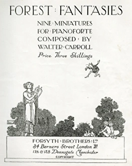 Images Dated 18th April 2016: Music cover, Forest Fantasies