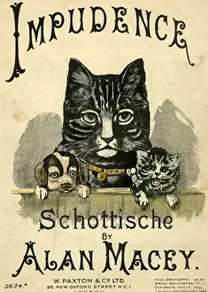Music cover, Impudence