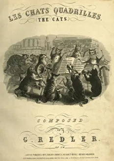 Images Dated 6th September 2018: Music cover, Les Chats Quadrilles, The Cats