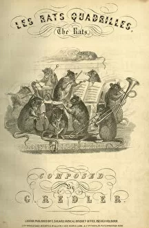 Rats Gallery: Music cover, Les Rats Quadrilles, The Rats