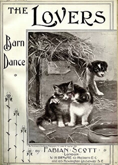 Kittens Collection: Music cover, The Lovers, Barn Dance