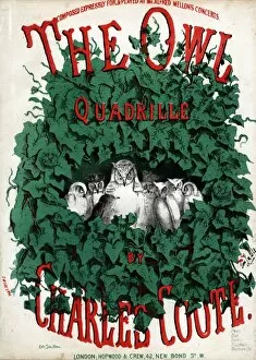 Concerts Gallery: Music cover, The Owl Quadrille