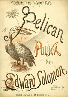 Polka Gallery: Music cover, Pelican Polka
