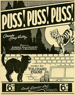 Comedy Collection: Music cover, Puss! Puss! Puss