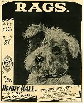 Allan Prints: Music cover, Rags