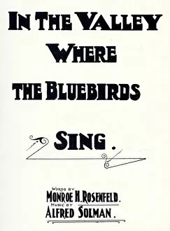 Images Dated 5th April 2019: Music cover, In The Valley Where the Bluebirds Sing