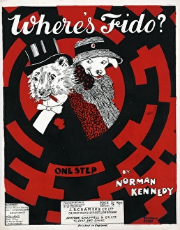 Music cover, Wheres Fido, One Step