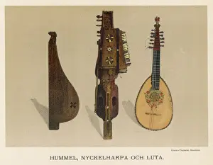 Music / Instruments / String