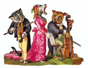 Images Dated 2nd November 2015: Musical cat, dog and owl on a Victorian scrap