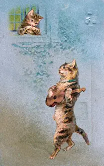 Serenade Prints: Musical cat with guitar serenading on a postcard