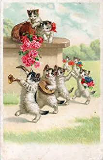 Anthropomorphism Collection: Musical cats with flowers on a postcard