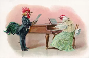Musical cock and hen with piano on a greetings postcard
