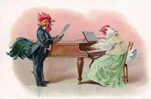Recital Prints: Musical cock and hen with piano on a greetings postcard
