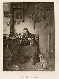 Strad Prints: Musician looks lovingly at the old Strad'