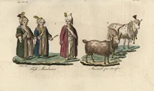 Antico Gallery: Muslim boys in the days before their circumcision, 1790