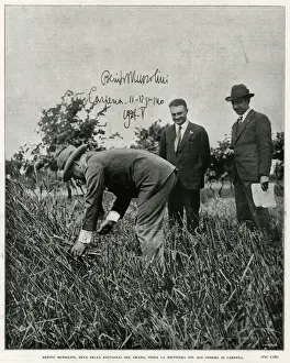Benito Prints: Mussolini / Fieldwork