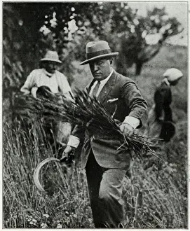 Benito Prints: MUSSOLINI / HARVESTING 33