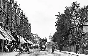 Queens Prints: Muswell Hill Queen's Parade early 1900s