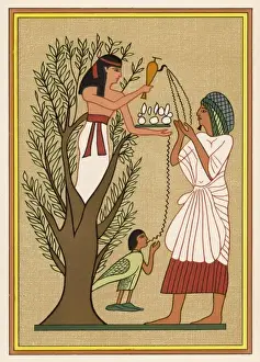 Sycamore Prints: Mut Pouring Water - 2