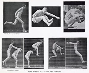 Motion Collection: Muybridge - Jumping
