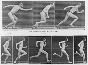 Muybridge - Running