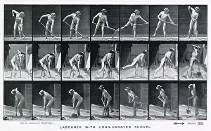 Muybridge - Shovel