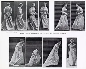 Muybridge Prints: Muybridge - Walking