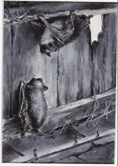 Myotis mystacinus, whiskered bat