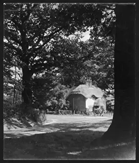 Mysterious Cottage