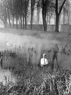 Spooky Prints: Mysterious Waters