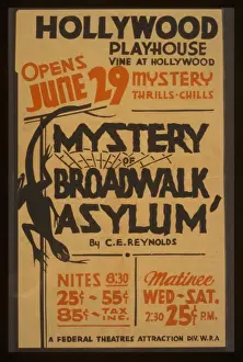 Mystery of broadwalk asylum by CE Reynolds Mystery of broadw