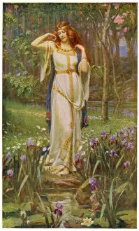 Norse Mythology Collection: Myth / Freyja & Necklace
