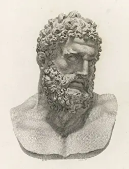 Colossal Prints: Myth / Hercules Bust