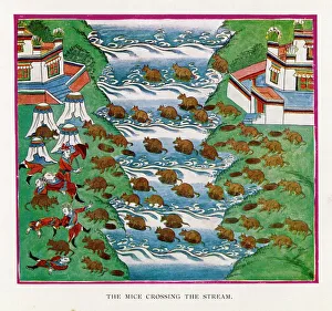 Images Dated 16th October 2007: Myth / Tibet / Country / Mice