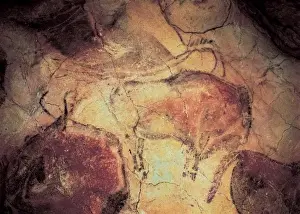 Magdalenian Prints: SPAIN