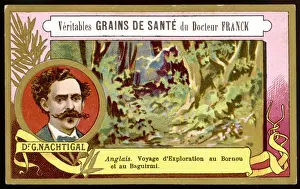 Nachtigal (Card)
