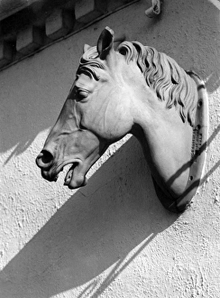 Images Dated 11th March 2011: NAGs HEAD PUB SIGN