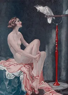 Wilton Prints: Naked lady and cockatoo