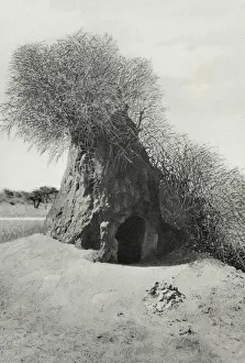 Termite Prints: Namibia - A Termite Mount