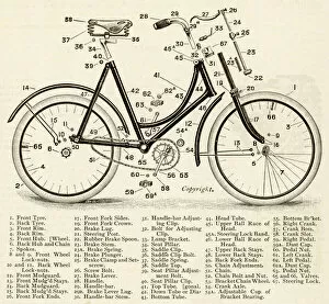 Naming of Cycle Parts