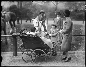 Nanny in Hyde Park