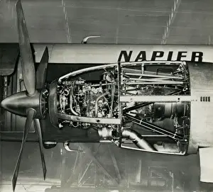 Napier Eland power plant