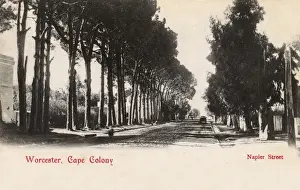 Napier Prints: Napier Street, Worcester, Cape Colony, South Africa